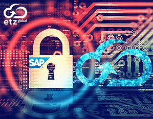 SAP GUI access to SAP systems without VPN